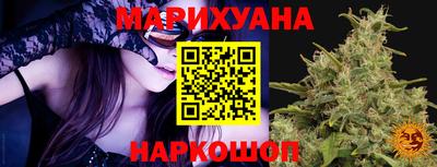 гидра Краснознаменск