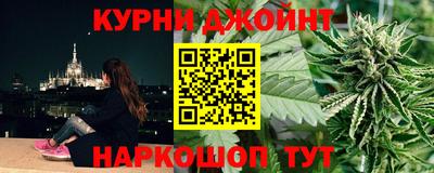 гидра Краснознаменск