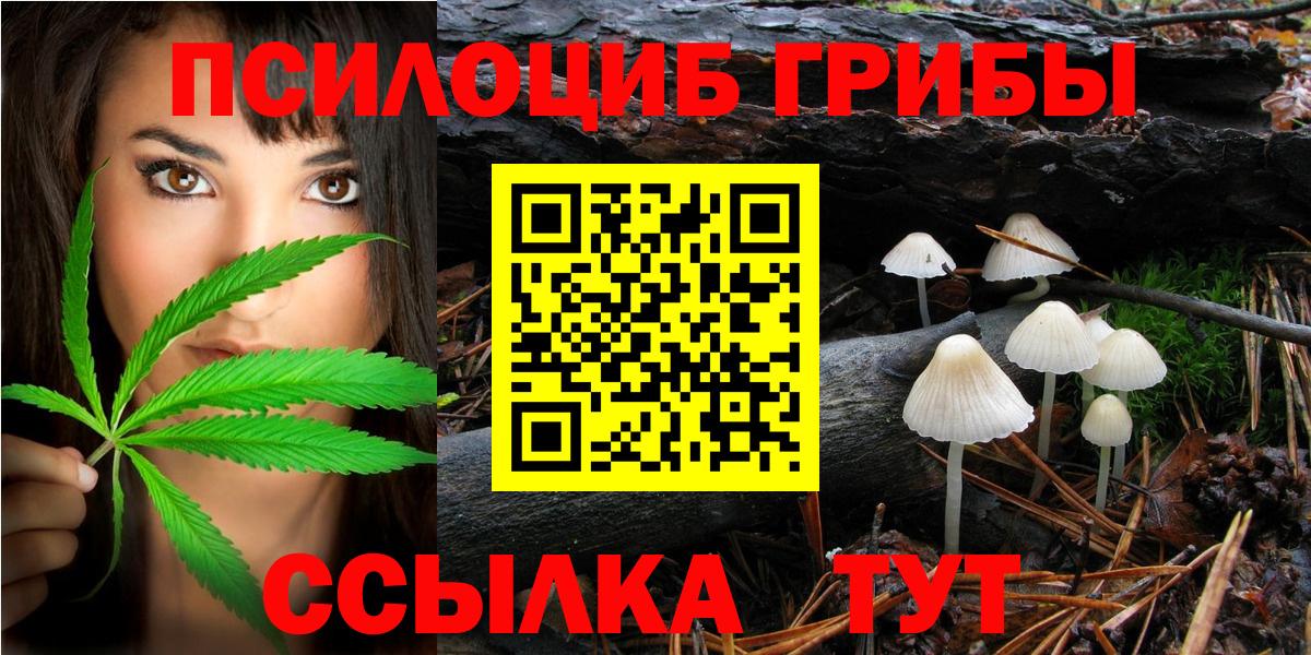 Псилоцибиновые грибы мухоморы  Вход с VPN  Псилоцибиновые грибы мухоморы  Кировск 