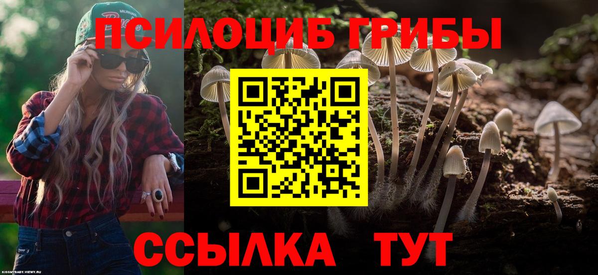 Галлюциногенные грибы Psilocybine cubensis Кировск